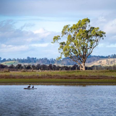Blackwood Park Cottages Mole Creek Exteriör bild