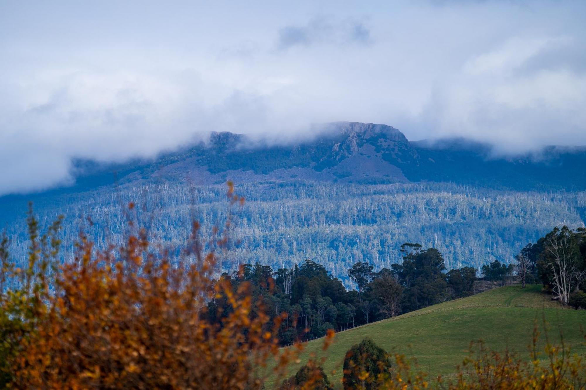 Blackwood Park Cottages Mole Creek Exteriör bild