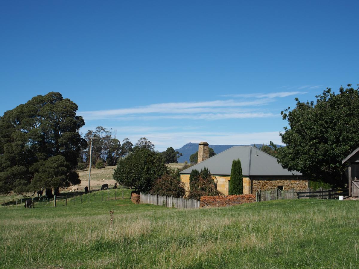 Blackwood Park Cottages Mole Creek Exteriör bild
