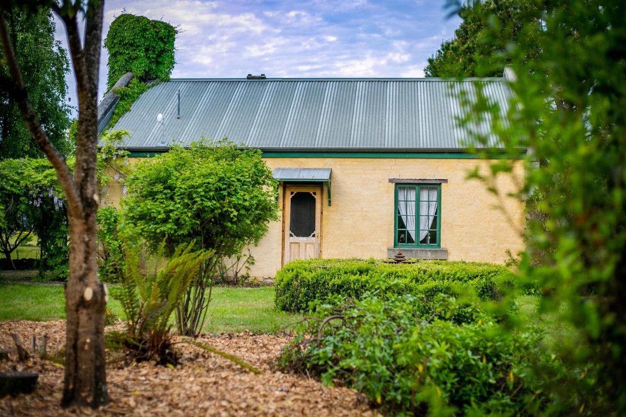 Blackwood Park Cottages Mole Creek Exteriör bild