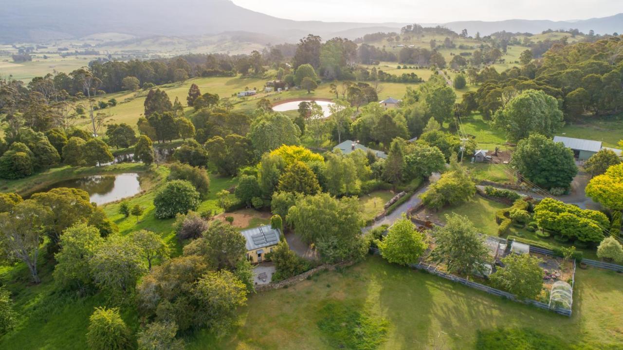 Blackwood Park Cottages Mole Creek Exteriör bild